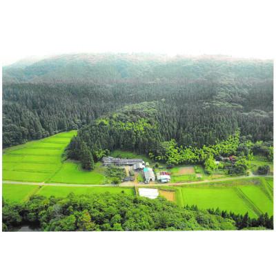 ふるさと納税 宮城県 だて正夢つや姫 計10kg 宮城県産食べ比べセット |  | 02