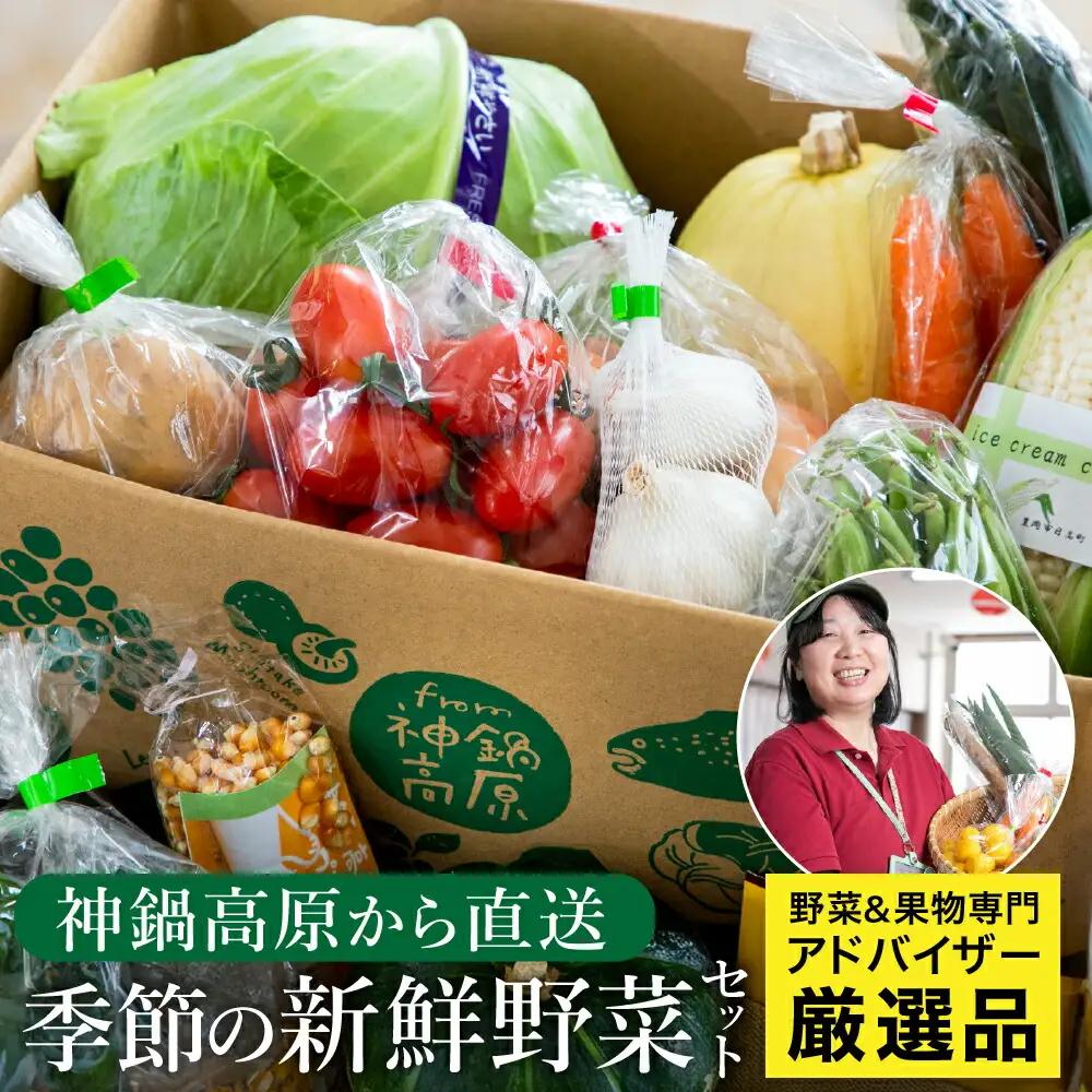 神鍋高原 季節の新鮮野菜 詰め合わせ 5～10品