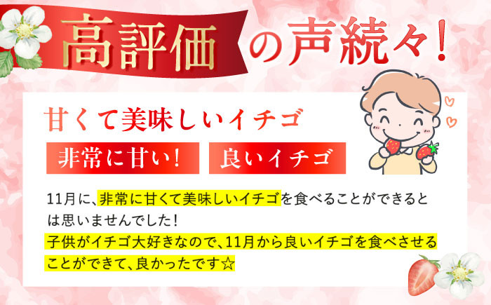 くだもの 果物 フルーツ いちご イチゴ 苺 ゆめの香 ゆめのか 1キロ 1kg 長崎 長崎県