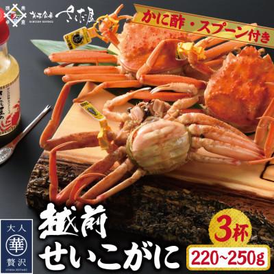 ふるさと納税 越前町 浜茹で越前せいこがに約220〜250g3杯　かに酢&amp;かにスプーン付き