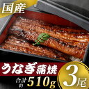 【ふるさと納税】 九州産うなぎ蒲焼3尾 約170g×3尾 合計約510g うなぎ 蒲焼き うなぎ 蒲焼き 3尾 薩摩川内うなぎ 薩摩川内鰻 蒲焼 うなぎ蒲焼 冷凍 鹿児島 国産 鰻 ウナギ ギフト プレゼント お中元 お歳暮 薩摩川内市 川内市 川内 ふるさと 納税