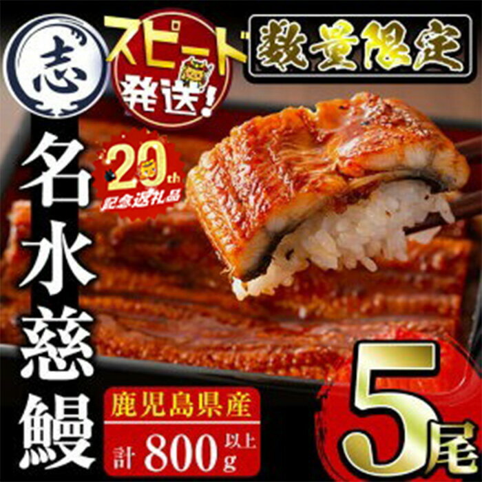 【丑の日までにお届け！7月20日入金まで】【緊急支援企画】【数量限定】鹿児島県産うなぎ蒲焼 名水慈鰻5尾(計800g以上・1尾あたり156〜185g以上) 鰻 ウナギ 5尾 国産 蒲焼 かばやき 冷凍 うな重 ひつまぶし タレ 山椒 ランキング 人気【鹿児島鰻】b