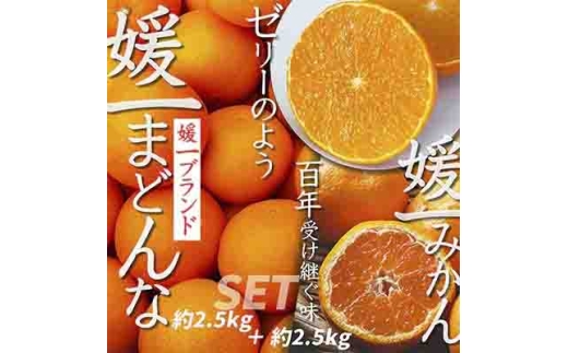 【先行受付】「媛一みかん」と「媛一まどんな」の2品種・約5kg＜C28-29＞_みかん ミカン マドンナ 紅まどんな同品種 柑橘 柑橘類 フルーツ 果物 くだもの 人気 美味しい 愛媛県 八幡浜 ふるさと【1119673】 YWTN021