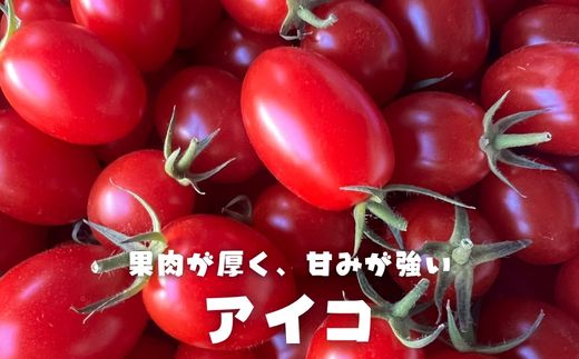 【定期便3回】江口農園　驚くほど甘い！トマトジュース　150ml×5本　飲みきりサイズ　北海道産　食塩無添加　アイコ・シンディースイート使用 【定期便3回】5本セット