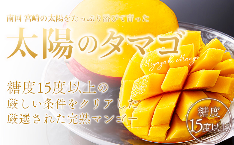 ＜宮崎県産完熟マンゴー 太陽のタマゴ 2L 合計1玉＞入金確認後、2025年7月中旬～下旬迄に順次出荷【 選べる 個数 内容量 大きさ サイズ 国産 かんじゅく とろける 果物 果実 フルーツ 南国 
