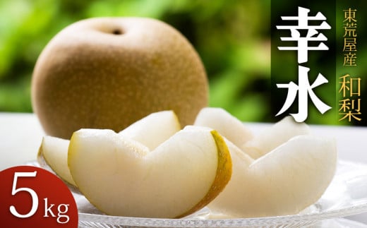【令和7年産先行予約】 東荒屋産　幸水　(和梨) 　5kg　山形県鶴岡市 鶴岡中央青果