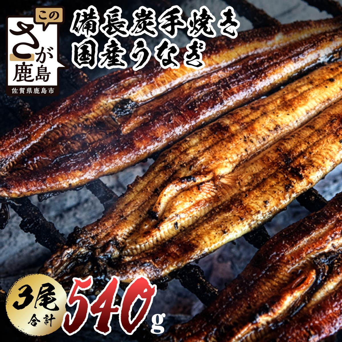 【ふるさと納税】★5.0 大正7年創業 うなぎ 国産 鰻 蒲焼き 3尾 計540〜600g 大サイズ タレ付 峰松うなぎ | ふるさと納税 うなぎ 国産鰻 ウナギ 蒲焼 密封パック 箱入り 贈答 備長炭 手焼き 肉厚 惣菜 土用の丑の日 ふるさと 人気 佐賀県 鹿島市 冷蔵発送 送料無料 E-5