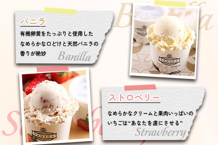 VANAGAプレミアムご当地アイス12個とアイス専用スプーン（ゴールド1本）の13点セット