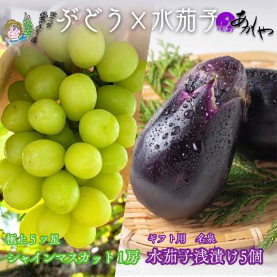 ふるさと納税 岸和田市 贈り物に　極上「名峰」シャインマスカット1房と極上「名泉」泉州水なすぬか漬け5個 計2.5kg