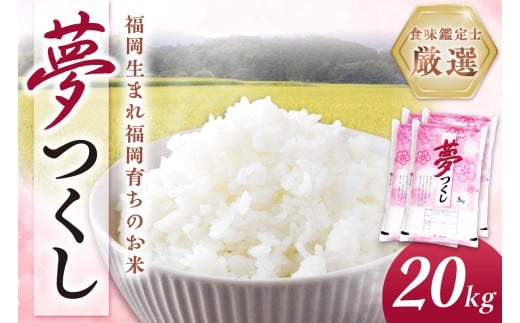 【食味鑑定士厳選】福岡県産夢つくし20kg(5kg×4袋)【039-0008】
