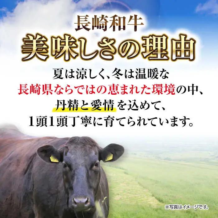【訳あり】【A4〜A5ランク】長崎和牛 焼肉切り落とし 1kg（500g×2パック）(肩ロース・バラ） [JGH022]訳あり