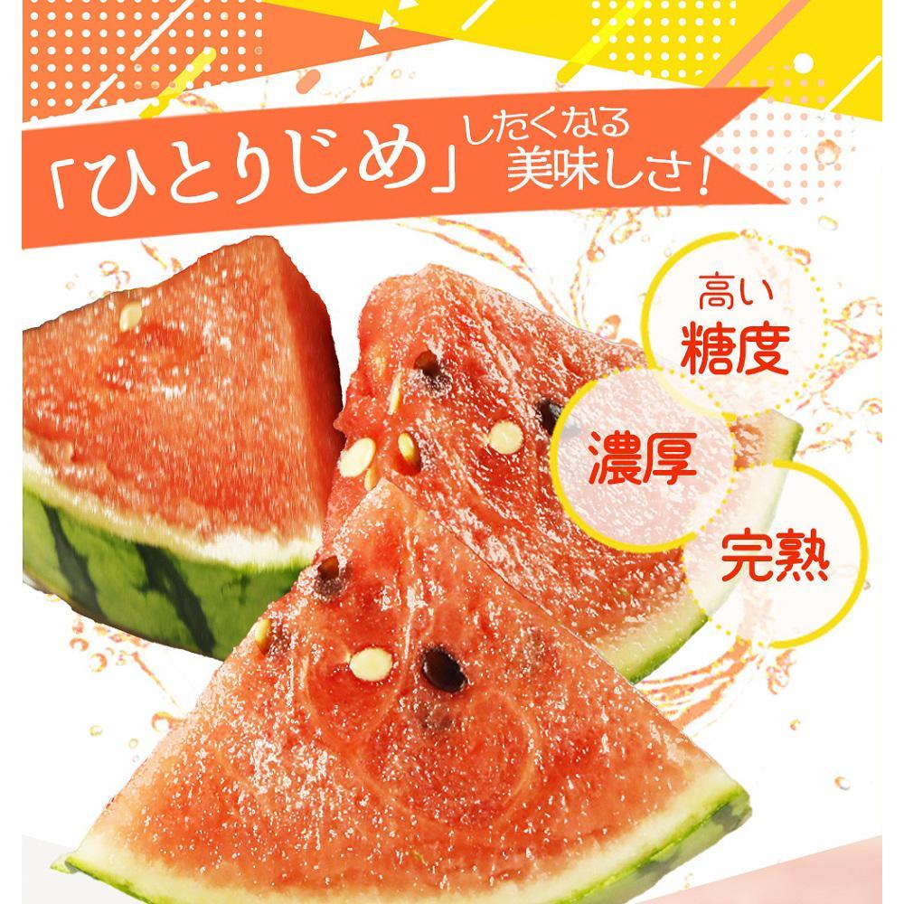 紀州和歌山産 小玉スイカ「ひとりじめ」 1玉【2025年6月上旬頃～2025年6月下旬頃に順次発送】【UT85】　XF91087_イメージ2
