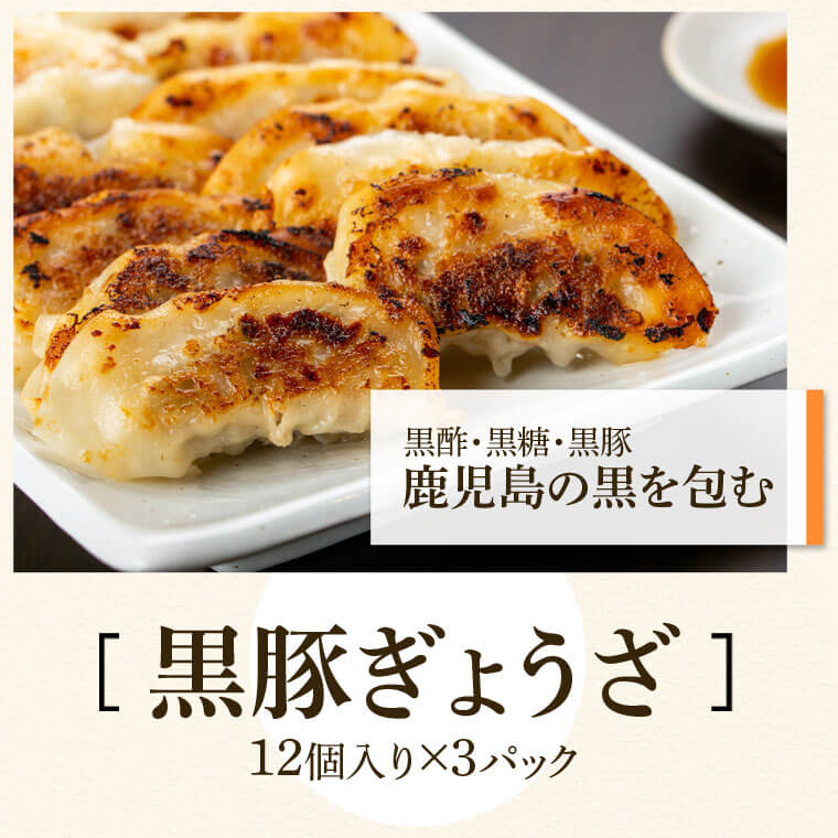 【B02105】ふるさと3選 （うなぎ 約125g×2尾、焼豚 約200ｇ×2個、 餃子 12個入×3パック）_イメージ4