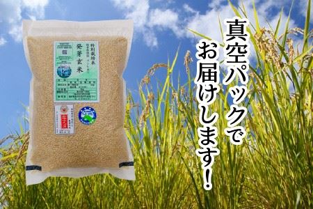 【令和5年産】【発芽玄米】無農薬 福井県産 コシヒカリ特選 真空パック 3kg  ～玄米以上の栄養価と白米に近い柔らかさ～ [A-2922]