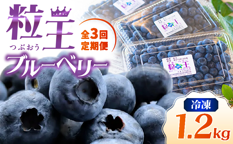 【10/1(木)より寄附金額改定予定】2467-1 【全3回定期便】（2ヶ月に1回お届け）粒王 ブルーベリー 1.2kg（400g×3P）　KN030-T01【ブルーベリー観光農園ワダ】