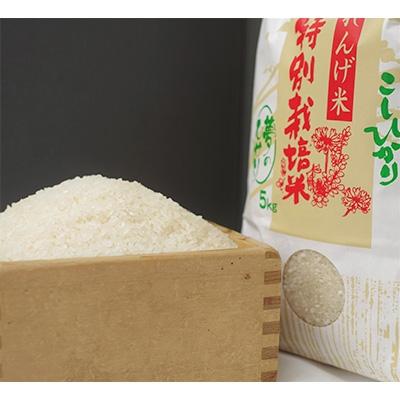 ふるさと納税 庄原市 夢のひかり 10kg(こしひかり) |  | 01