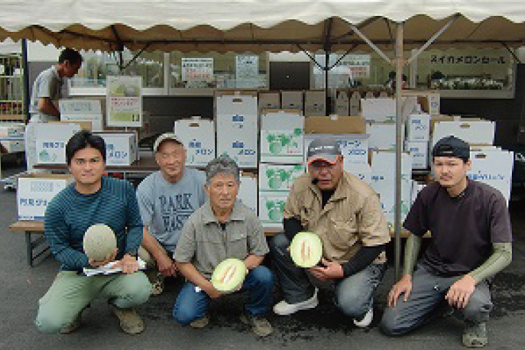 【6月下旬発送予定】メロン 4L～5L 2～3玉 約5.5kg 阿見グリーンメロン 茨城県 化粧箱入り 贈答 自分用 数量 限定 希少 品種（04-29）