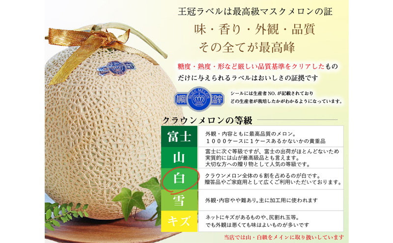 【12ヶ月定期便】クラウンメロン並【白等級】1.3kg前後　3玉