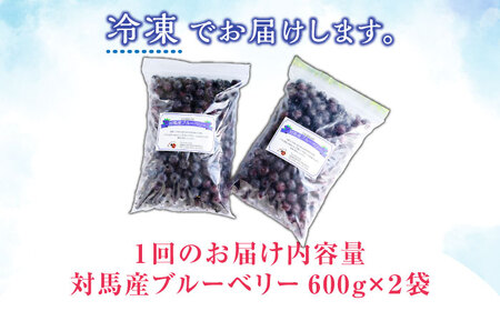 【全12回定期便】 大容量 対馬産 ブルーベリー （ 冷凍 ） 1.4kg【 さほの里ファーム 】《 対馬市 》 離島 対馬 有機肥料 旬 果物 フルーツ[WBG004] コダワリブルーベリー こだわ