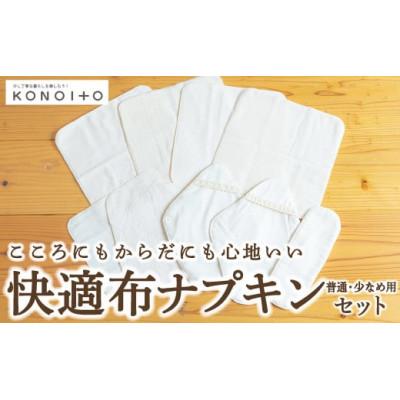ふるさと納税 うきは市 快適布ナプキンセット(普通・少なめ用) U032-1DN-OTN1
