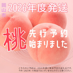 桃 2026年 清水 白桃 約1.5kg 4~6玉 もも モモ 岡山県産 国産 フルーツ 果物 ギフト 横木農園