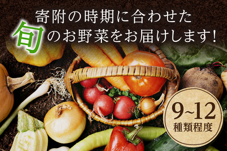 野菜 定期便 4回（卵付き）【アスカ有機農園】京の旬野菜セットL平飼い卵付き（栽培期間中農薬・化学肥料不使用＜京都 オーガニック アクション加盟＞京野菜セット・野菜 詰め合わせ・栽培期間中 無農薬・有