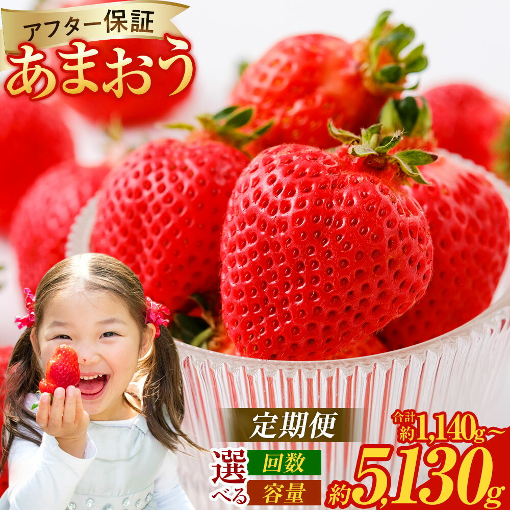 【ふるさと納税】【2回/3回定期便】＜選べる容量＞あまおう サイズ色々 1パック約285g 2パック（計570g） / 4パック（計1.14kg） / 6パック（計1.71kg） 1ヶ月毎 いちご イチゴ 苺 くだもの 果物 果実 フルーツ 福岡県産 国産 送料無料 【2026年2月上旬～4月下旬発送予定】