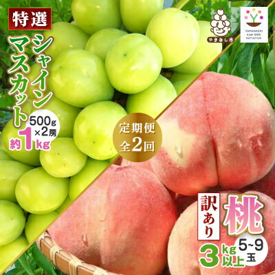 【ふるさと納税】【発送月固定定期便】2025年発送/朝収穫農家直送/訳あり桃+特選シャインマスカット全2回【配送不可地域：離島】【4014548】