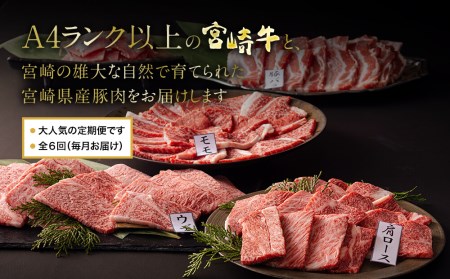 宮崎牛 豚肉 6ヶ月 定期便1 合計8.4kg ミヤチク モモ こま ロース 肩ロース バラ ウデ 冷凍 豚肉 牛肉 内閣総理大臣賞受賞 宮崎県産 牛 豚 豚肉 牛肉 国産 焼肉 小間 しゃぶしゃぶ 