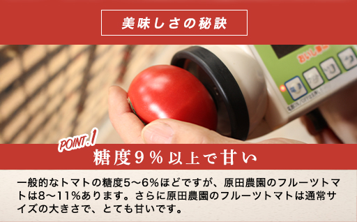 【a013】フルーツトマト糖九郎（Mサイズ）1kg箱15玉満杯詰め　2026年3月〜5月発送分