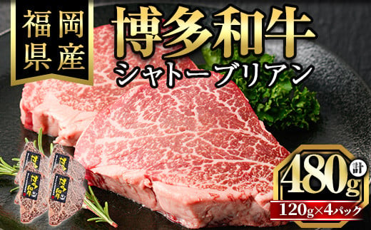 
博多和牛シャトーブリアン(120g×4枚・計480g)牛肉 和牛 博多和牛 国産 ステーキ シャトーブリアン＜離島配送不可＞【ksg1285】【くしだ企画】
