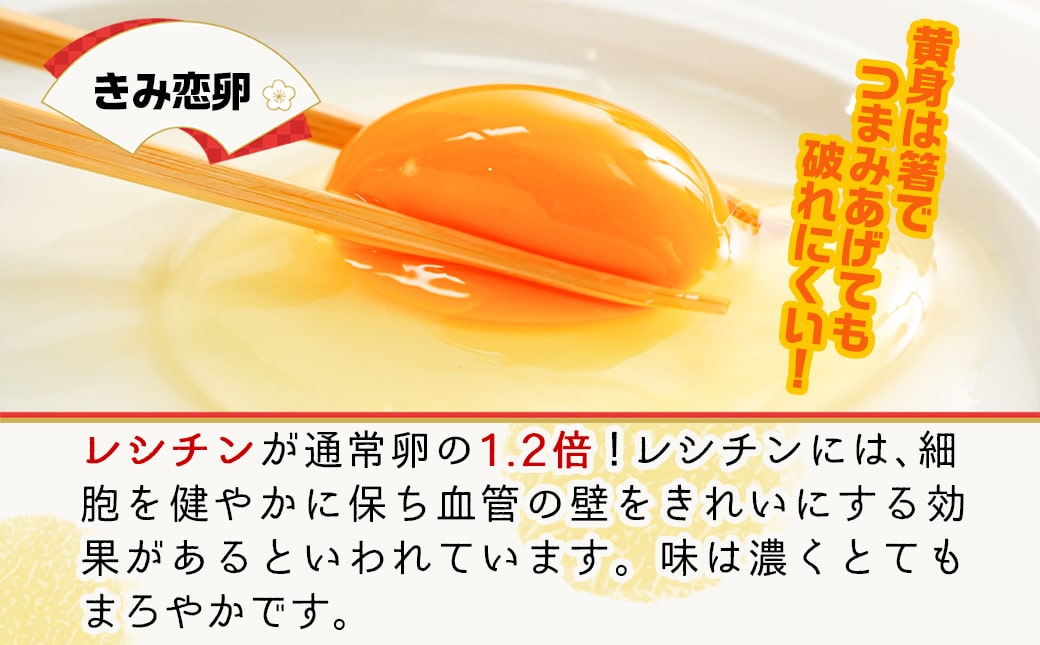 【年内お届け】よかもよか卵&紅白きみ恋卵≪2024年12月20日～31日お届け≫_AA-2914-HNY