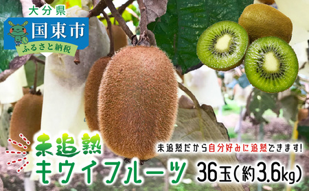 2302R_未追熟 キウイフルーツ 36玉（約3.6kg） 