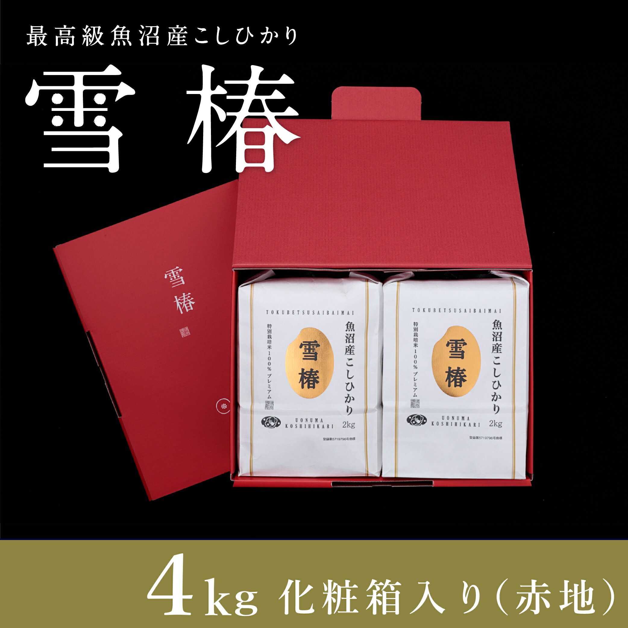【ふるさと納税】 ギフト用 米 2kg×2袋 令和7年産 最高級 魚沼産 コシヒカリ 雪椿 特別栽培米 化粧箱入り | こしひかり お米 おこめ こめ コメ 白米 精米 ご飯 ごはん ブランド米 おすすめ 人気 新潟県 津南町