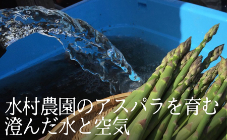 【先行予約 令和8年 2026年発送】柔らか甘いアスパラ M-Lサイズ 500g 水村農園