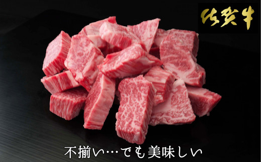 
【2024年より発送】佐賀牛 ヒレ不揃いサイコロステーキ 600g【佐賀牛 牛肉 サイコロステーキ ヒレ肉 不揃い ステーキ肉 サシ カレー 角切り 訳あり ブランド肉 BBQ バーベキュー】 C-C030017
