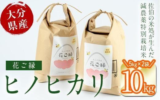 【令和7年産】 減農薬特別栽培米 はなご縁 (計10kg・5kg×2袋) 米 ひのひかり ヒノヒカリ 精米 白米 大分県産 数量限定 大分県 佐伯市【HD171】【さいき本舗 城下堂】