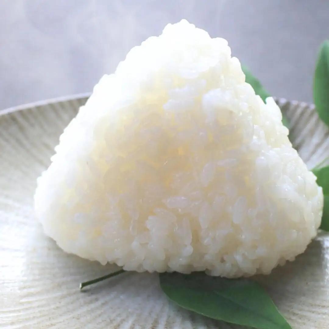 令和7年 新潟県産 新之助 10kg 三条市 外山敏雄商店