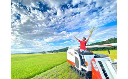 【新米受付・令和7年産米】新潟県村上市桃川産　直播米　泥根性こしいぶき10㎏  1040004N