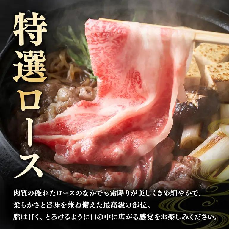 飛騨牛 A5～4等級 贅沢セット (A01-021)