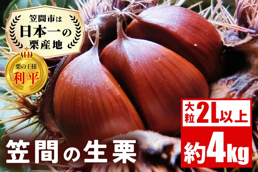 
            生栗 4kg 利平 栗 くり 国産  2L サイズ 以上 大きい 大粒 取り寄せ 笠間 茨城 和栗 甘栗 低温熟成 ギフト プレゼント 秋 旬 おやつ スイーツ 果物 フルーツ  栗ご飯 栗きんとん 栗おこわ 冷蔵 栗生産量 日本一 いばらき 
          