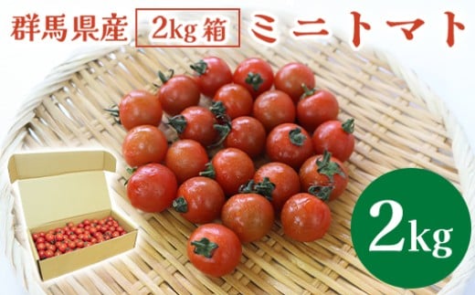 
            ミニトマト2㎏箱【10月以降順次発送】
          