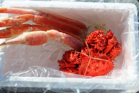 本ズワイガニ足1肩、花咲ガニ1尾(計450～500g前後) A-57040