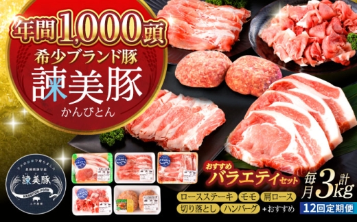 【12回定期便】諫美豚おすすめバラエティセット3kg / 諫美豚 国産 豚肉 豚 肉 小分け 冷凍 切り落とし しゃぶしゃぶ 豚しゃぶ 肩ロース ステーキ モモ 切り落とし ハンバーグ ロースステーキ セット / 諫早市 / 株式会社土井農場 [AHAD011]