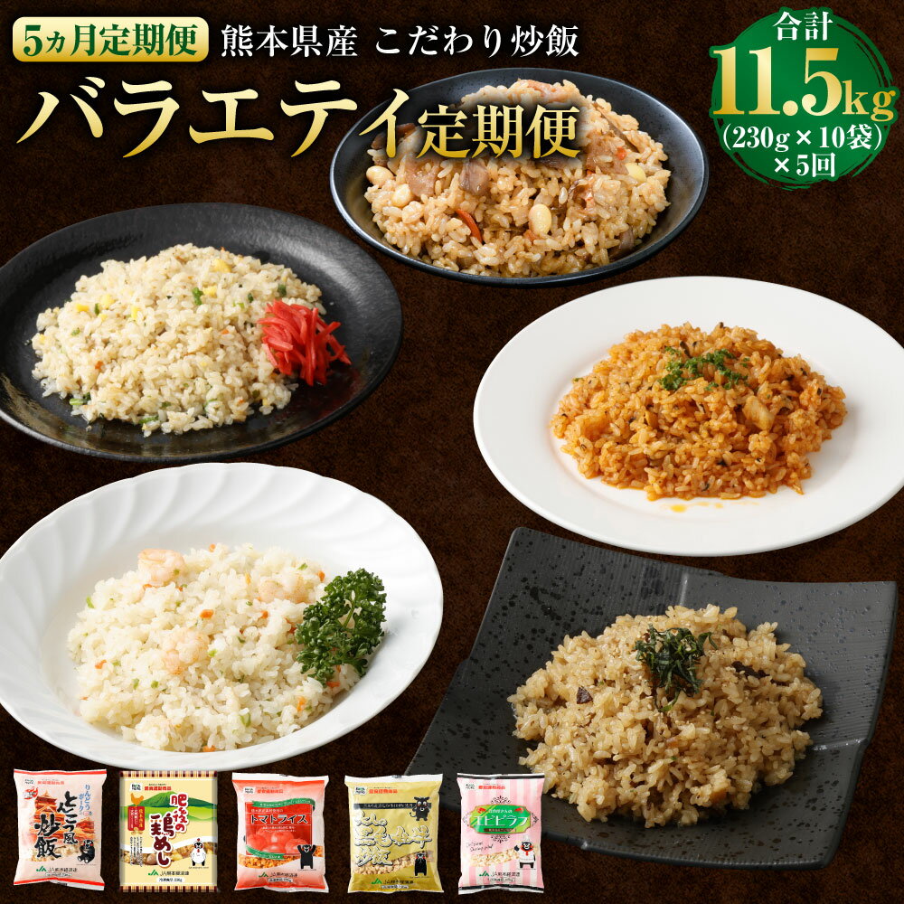 【ふるさと納税】【5ヵ月定期便】熊本県産 こだわり炒飯 バラエティ定期便 合計11.5kg （230g×10袋）×5回 合計50食分 定期便 5回 炒飯 冷凍炒飯 チャーハン 惣菜 国産 温めるだけ 簡単調理 冷凍 九州 熊本県 送料無料