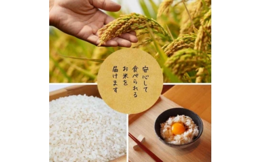 栽培期間中8年間化学農薬・化学肥料不使用栽培米　徳島県産コシヒカリ　10kg　精米【1760891】