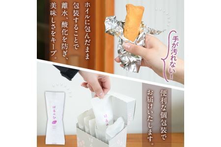 焼き菓子はるのひ～時間と気持ちをうららかに～ 菓子(計15個)お菓子 スイーツ ケーキ 紅芋 紅いも 常温 常温保存＜離島配送不可＞【ksg0442】【お菓子の機械工房テック】