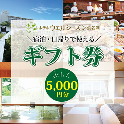 【ふるさと納税】ギフト券 ホテルウェルシーズン浜名湖 5000円分 姉妹館 ホテルコンコルド浜松 静岡 浜名湖 浜松 宿泊券 食事券 施設利用券 旅行 ホテル 宿泊 旅行券 トラベル 旅行クーポン ホテル券 チケット 旅館 静岡県 浜松市