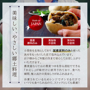 おやき 信州おやき 9種 詰合わせ（ 焼きタイプ ） 野沢菜 きのこ やさい ポテト あんこ なす 切干大根 かぼちゃ ニラ ご当地 お取り寄せ グルメ お土産