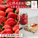 【ふるさと納税】【全3回定期便】完熟 あまおう 270g × 4パック / あまおう ジャム 140g × 3本 【先行予約：2025年1月より順次発送】 糸島市 / slowberry strawberry 苺 いちご [APJ004] 51000円 常温